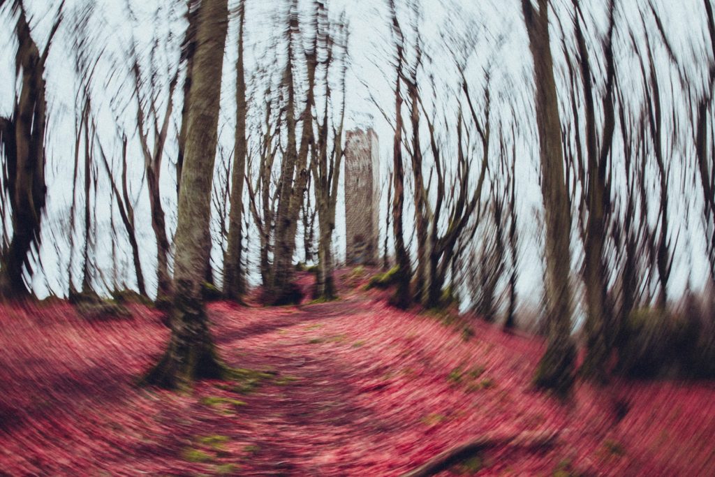 Yggdrasill e i 9 mondi, fotografia, mostra fotografica, progetto fotografico, sorianoimmagine2019, fototempismo, bifrost, via tremula, project, faggeta vetusta del monte cimino, lago trasimeno, civita castellana, soriano nel cimino, fotografia emozionale, mosso creativo, progetto bifrost, bifrost tecnica fotografica, midgard, luca storri fotografo, fotografo della tuscia, fotografo tuscia, fotografo fabrica di roma, fabrica di roma, fotografo di reportage, fotografo creativo, asaheimr