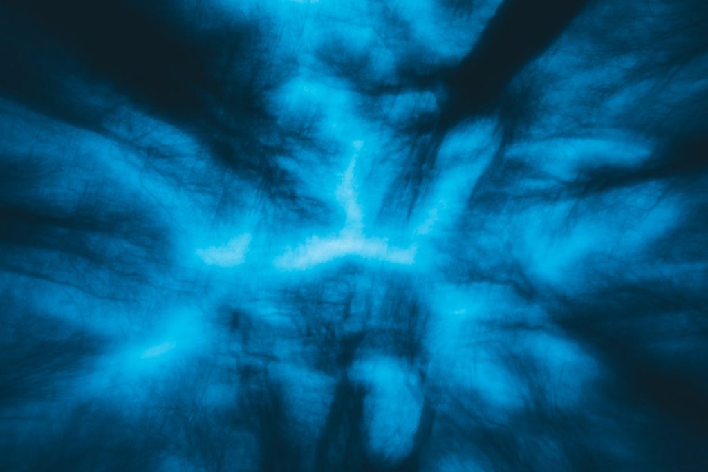 Yggdrasill e i 9 mondi, fotografia, mostra fotografica, progetto fotografico, sorianoimmagine2019, fototempismo, bifrost, via tremula, project, faggeta vetusta del monte cimino, lago trasimeno, civita castellana, soriano nel cimino, fotografia emozionale, mosso creativo, progetto bifrost, bifrost tecnica fotografica, midgard, luca storri fotografo, fotografo della tuscia, fotografo tuscia, fotografo fabrica di roma, fabrica di roma, fotografo di reportage, fotografo creativo, hel