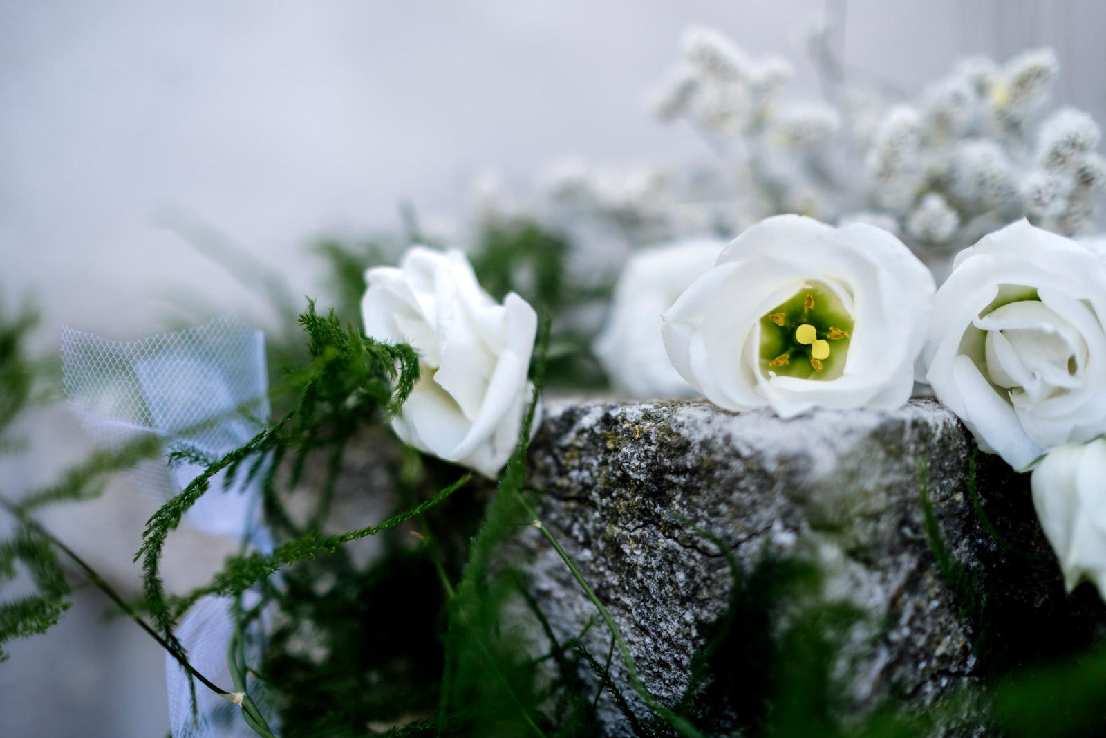 In un matrimonio, l'addobbo floreale è molto importante. La semplicità, mischiata all'eleganza di questi fiori fa si che non solo gli sposi, ma tutti gli invitati si sentono perfettamente a loro agio. Il profumo che sprigionano è talmente inebriante e dolce da emozionare ogni singolo invitato.